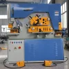 Hydraulic Punching Shearing Machine, Automatic Ironworker for Metal Stamping and Angle Steel Cut with Customizable Mold