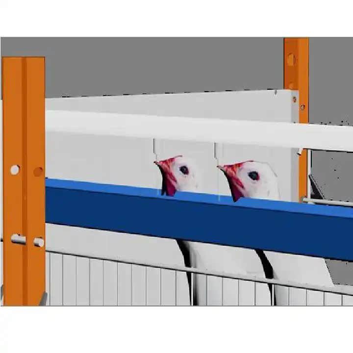 Chicken Farm Chicken Farm