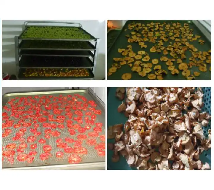 Fruit Processing And Drying Line Fruit Processing And Drying Line