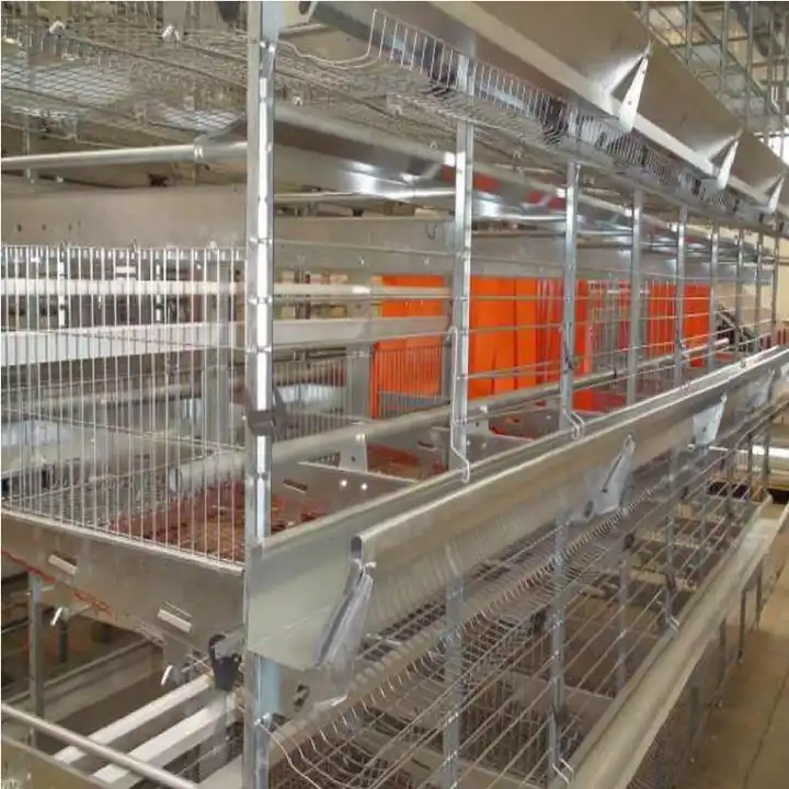 Chicken Farm Chicken Farm