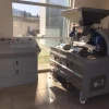 Olive Oil Machine 600KG ( Boutique – Compact System )